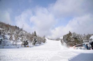 3E59B583-5ECC-4AEC-B6BB-24F67A84DCE0